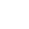 expert icon